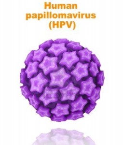 Useful Information on Human Papillomavirus