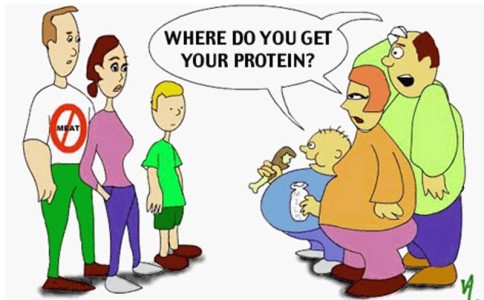 Protein supplements for you can be a good solution if