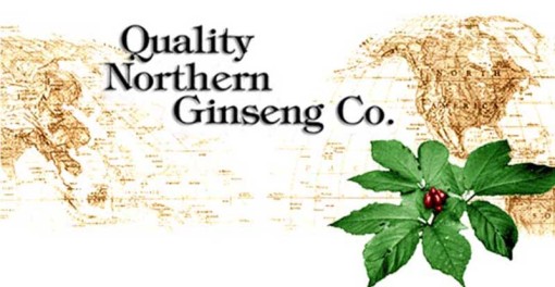 The power of ginseng - Things you need to know about it