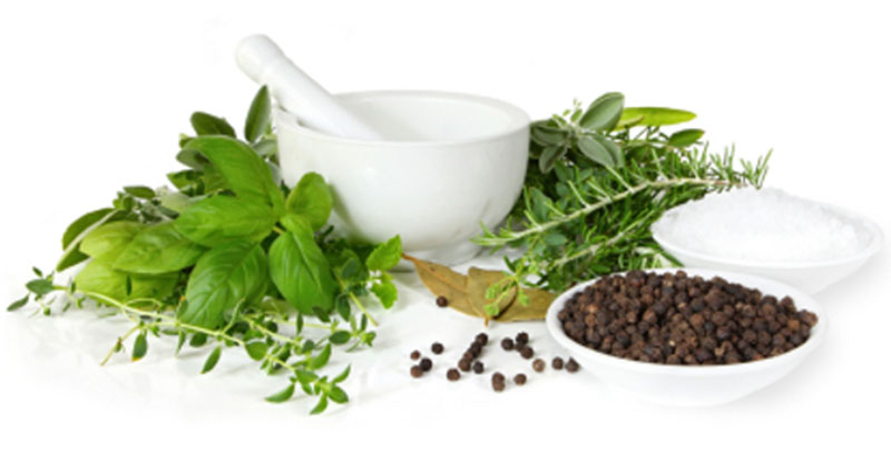 Herbal Supplements For A Powerful Immune System