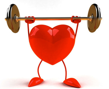 Astragalus For A Powerful Immune System and your heart