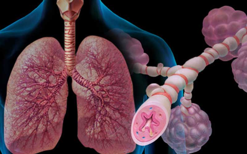 Asthma Management: Taking Control of Asthma