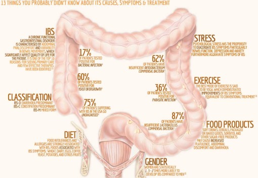 Irritable Bowel Syndrome Causes and Management