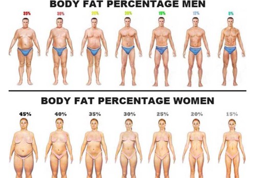 Fat Calipers - The ideal way to measure body fat?