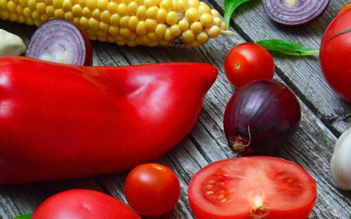 What are the most important vitamins and their functions?