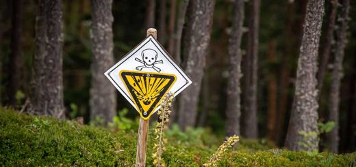 Pneumonic Plague in Russia How Serious Is the Threat
